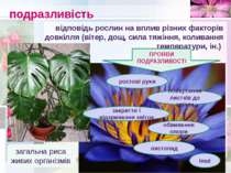 подразливість загальна риса живих організмів відповідь рослин на вплив різних...