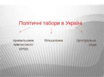 Політичні табори в Україні прихильники більшовики Центральна тимчасового рада...