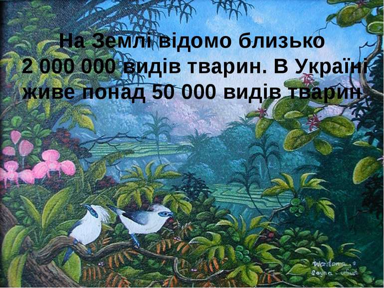 На Землі відомо близько 2 000 000 видів тварин. В Україні живе понад 50 000 в...