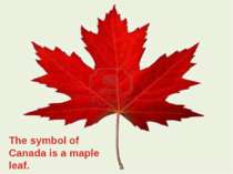 The symbol of Canada is a maple leaf.