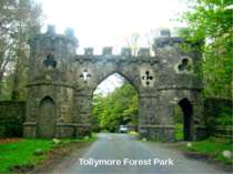Tollymore Forest Park