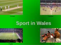 Cricket Football Rugby Boxing Sport in Wales