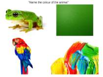 ’’Name the colour of the animal’’