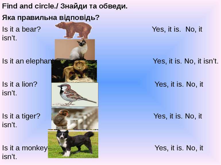 Find and circle./ Знайди та обведи. Яка правильна відповідь? Is it a bear? Ye...