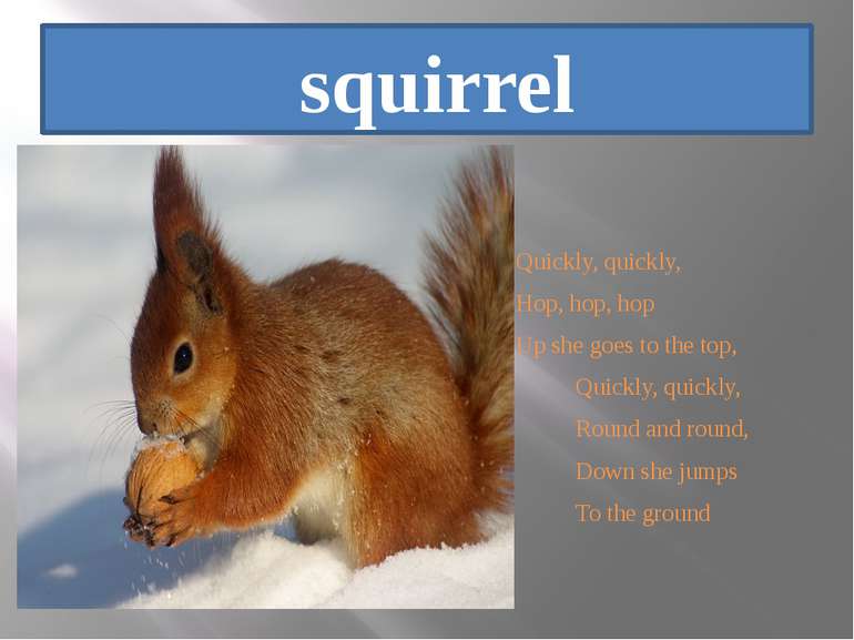 squirrel Quickly, quickly, Hop, hop, hop Up she goes to the top, Quickly, qui...