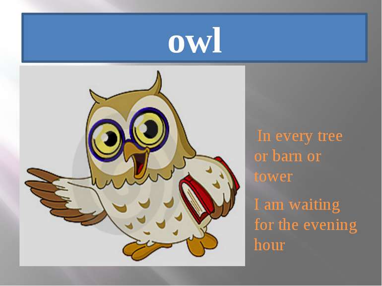 owl In every tree or barn or tower I am waiting for the evening hour