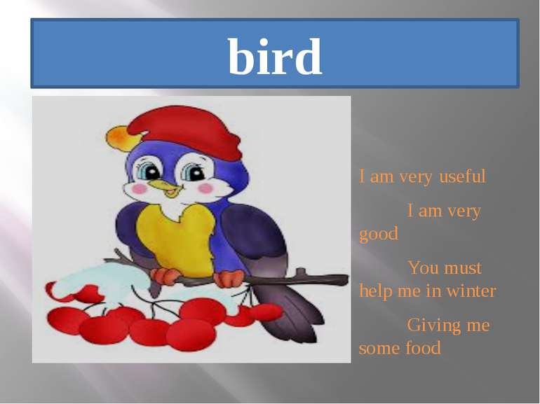 bird I am very useful I am very good You must help me in winter Giving me som...