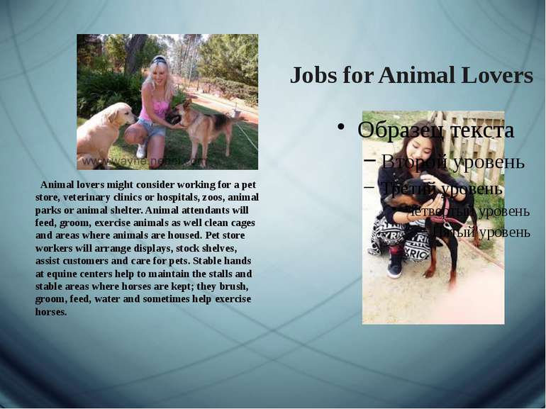 Jobs for Animal Lovers   Animal lovers might consider working for a pet store...