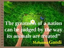 The greatness of a nation can be judged by the way its animals are treated” M...