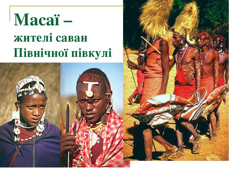 Масаї – жителі саван Північної півкулі
