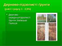 Дерново-підзолисті ґрунти (уміст гумусу 1 - 2,5%) Дерново –середньопідзолисті...