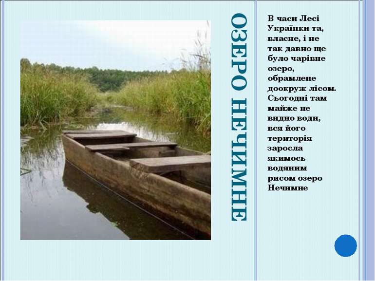 ОЗЕРО НЕЧИМНЕ В часи Лесі Українки та, власне, і не так давно ще було чарівне...