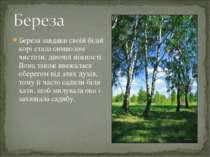 Береза завдяки своїй білій корі стала символом чистоти, дівочої ніжності. Вон...