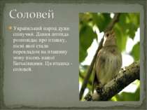 Український народ дуже співучий. Давня легенда розповідає про пташку, пісні я...