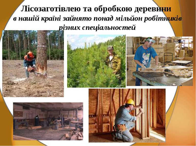 Лісозаготівлею та обробкою деревини в нашій країні зайнято понад мільйон робі...