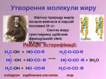 Утворення молекули жиру H2C-OH + HO-CO-R H2C-O-CO-R HC -OH + HO-CO -R HC-O-CO...