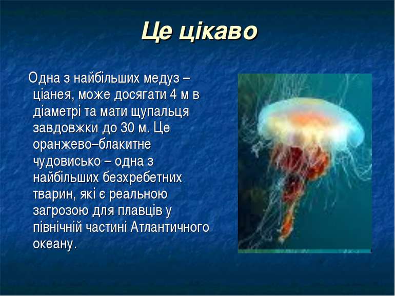 Це цікаво Одна з найбільших медуз – ціанея, може досягати 4 м в діаметрі та м...