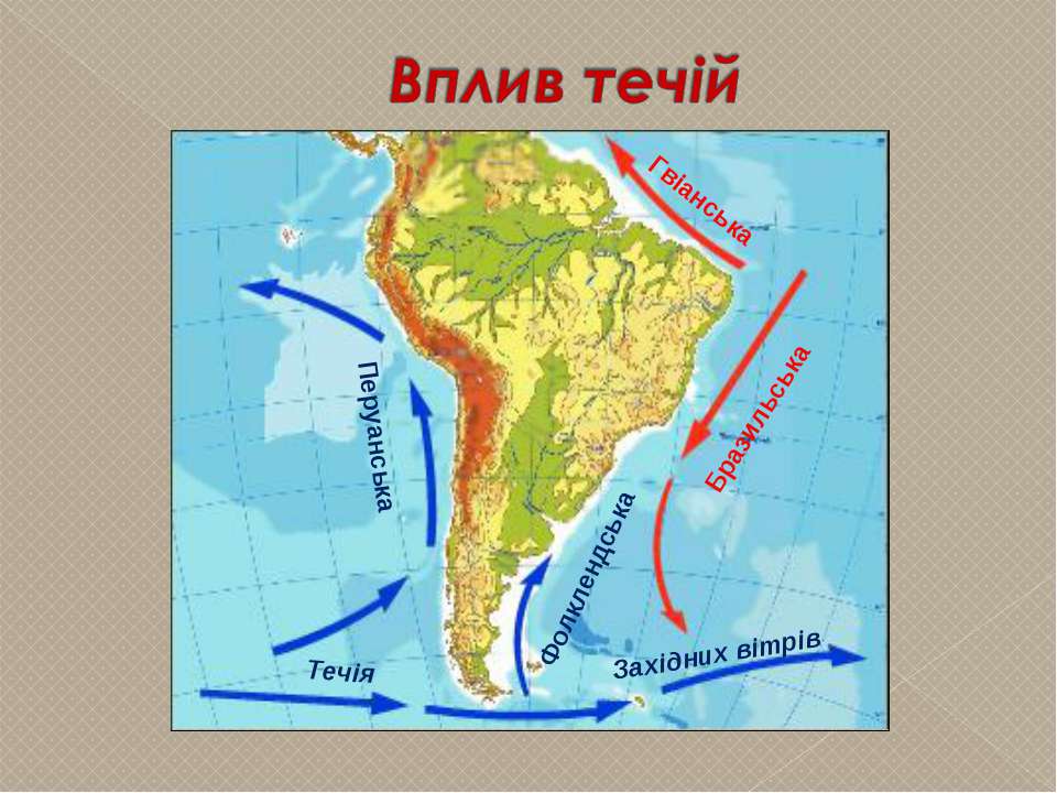 Холодные течения омывающие южную америку. Теплые течения Южной Америки Гвианское. Гвинейское течение на карте Южной Америки. Теплое Гвианское течение на карте Южной Америки. Южная Америка тёплые течения Гвианское бразильское и Наска.