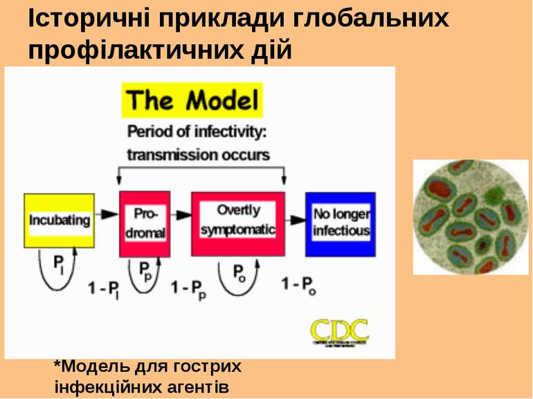 Історичні приклади глобальних профілактичних дій *Модель для гострих інфекцій...