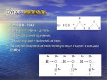 Будова молекули. Кут Н-О-Н - 104,5 Молекула полярна – диполь. Вода – дипольни...