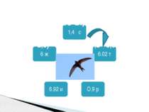 Який з наших птахів літає швидше від усіх? (4 – 2,6) · 4,3 + 1,08 : 1,2 - 0,9 =