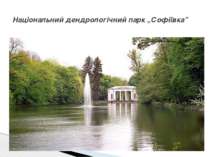 Національний дендрологічний парк „Софіївка”  