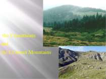 the Carpathians and the Crimean Mountains