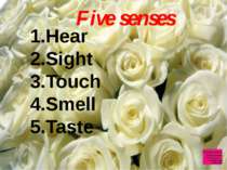 Five senses Hear Sight Touch Smell Taste