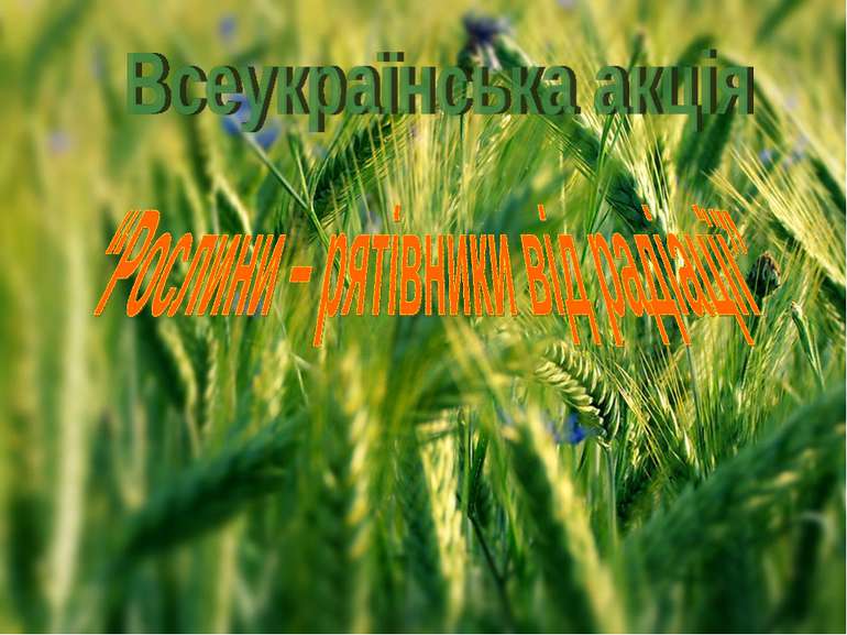 Всеукраїнська акція "Рослини рятівники від радіації"