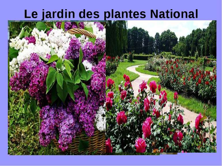 Le jardin des plantes National