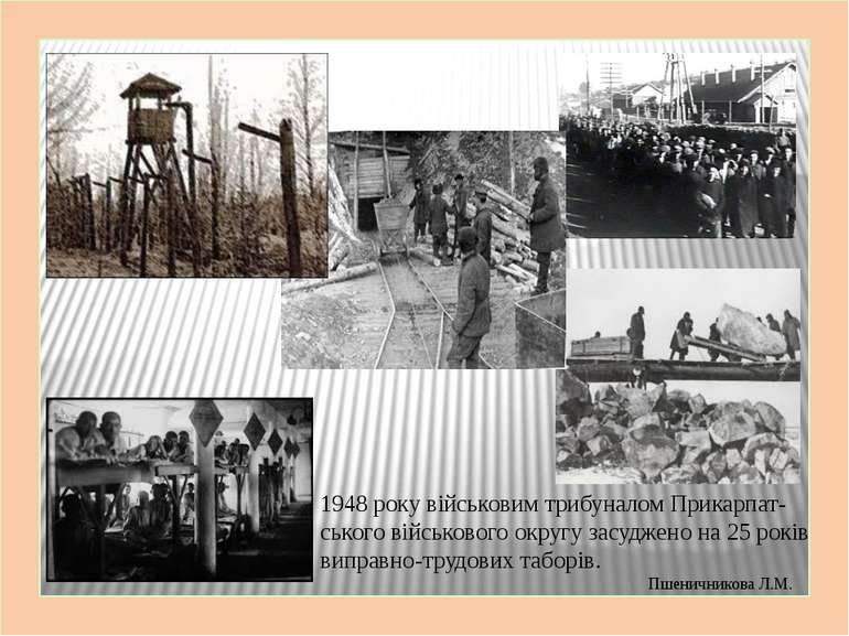 1948 року військовим трибуналом Прикарпат-ського військового округу засуджено...