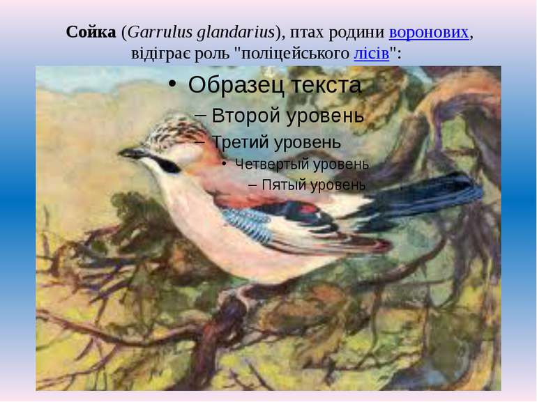 Сойка (Garrulus glandarius), птах родини воронових, відіграє роль "поліцейськ...