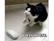 I has a mouse