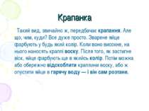 Крапанка Такий вид, звичайно ж, передбачає крапання. Але що, чим, куди? Все д...