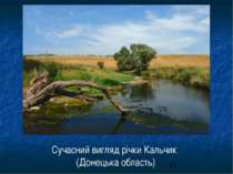 Сучасний вигляд річки Кальчик (Донецька область)