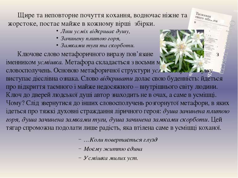 Ключове слово метафоричного виразу пов’язане з іменником усмішка. Метафора ск...