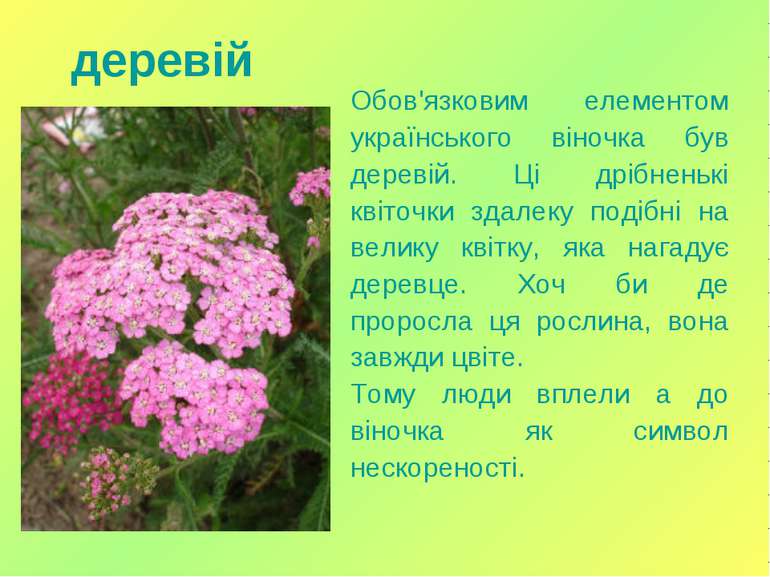 Обов'язковим елементом українського віночка був деревій. Ці дрібненькі квіточ...