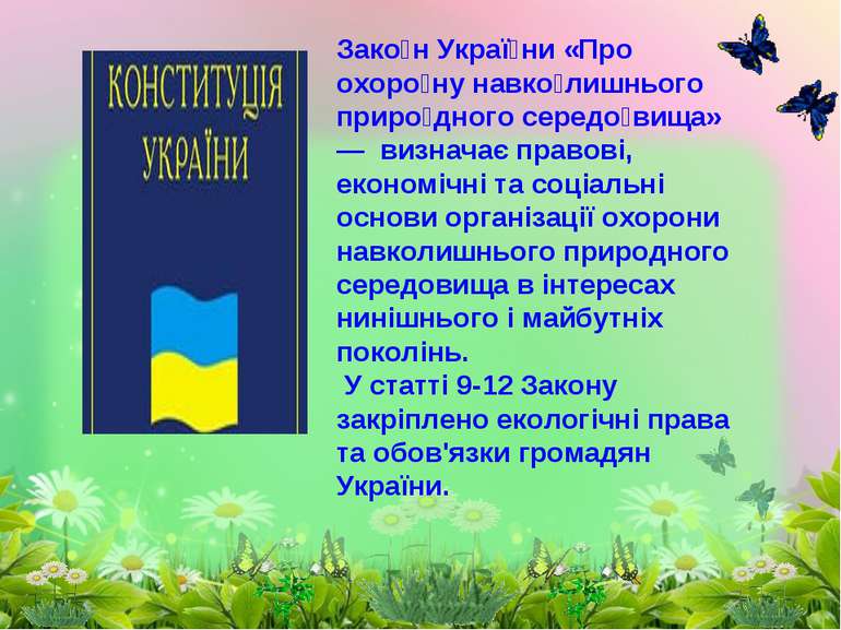 Зако н Украї ни «Про охоро ну навко лишнього приро дного середо вища» — визна...
