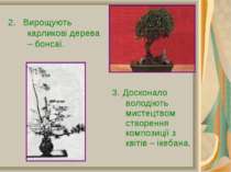 2. Вирощують карликові дерева – бонсаї. 3. Досконало володіють мистецтвом ств...
