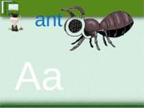 Aa ant