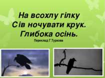 На всохлу гілку Сів ночувати крук. Глибока осінь. Переклад Г.Туркова