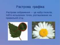 Растрова графіка Растрове зображення — це набір пікселів, тобто кольорових то...