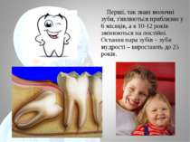 Перші, так звані молочні зуби, з'являються приблизно у 6 місяців, а в 10-12 р...