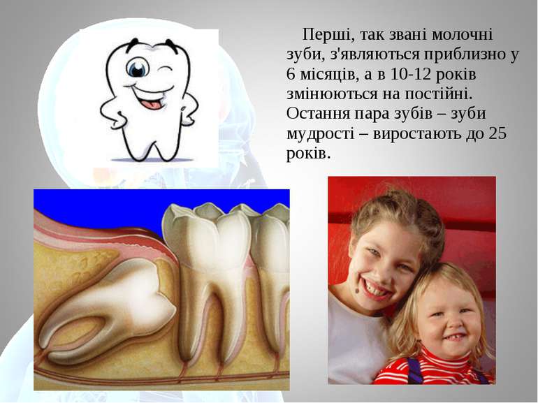 Перші, так звані молочні зуби, з'являються приблизно у 6 місяців, а в 10-12 р...