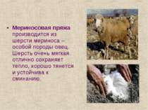 Мериносовая пряжа производится из шерсти мериноса – особой породы овец. Шерст...