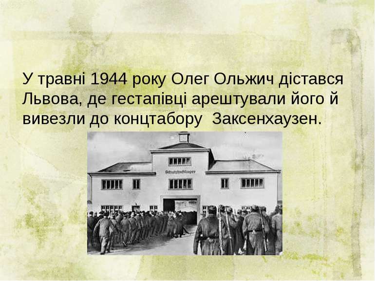 У травні 1944 року Олег Ольжич дістався Львова, де гестапівці арештували його...