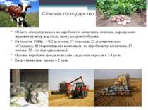 Сільське господарство Область спеціалізувалась на виробництві яловичини, свин...