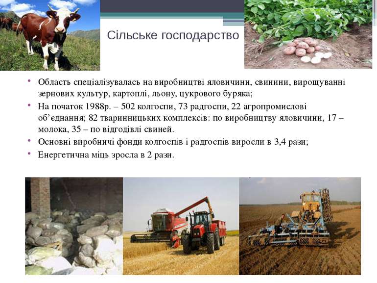 Сільське господарство Область спеціалізувалась на виробництві яловичини, свин...