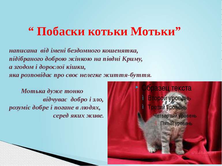“ Побаски котьки Мотьки” написана від імені бездомного кошенятка, підібраного...