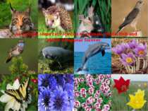 As a result some rare species of animals, birds, fish and plants disappear fo...